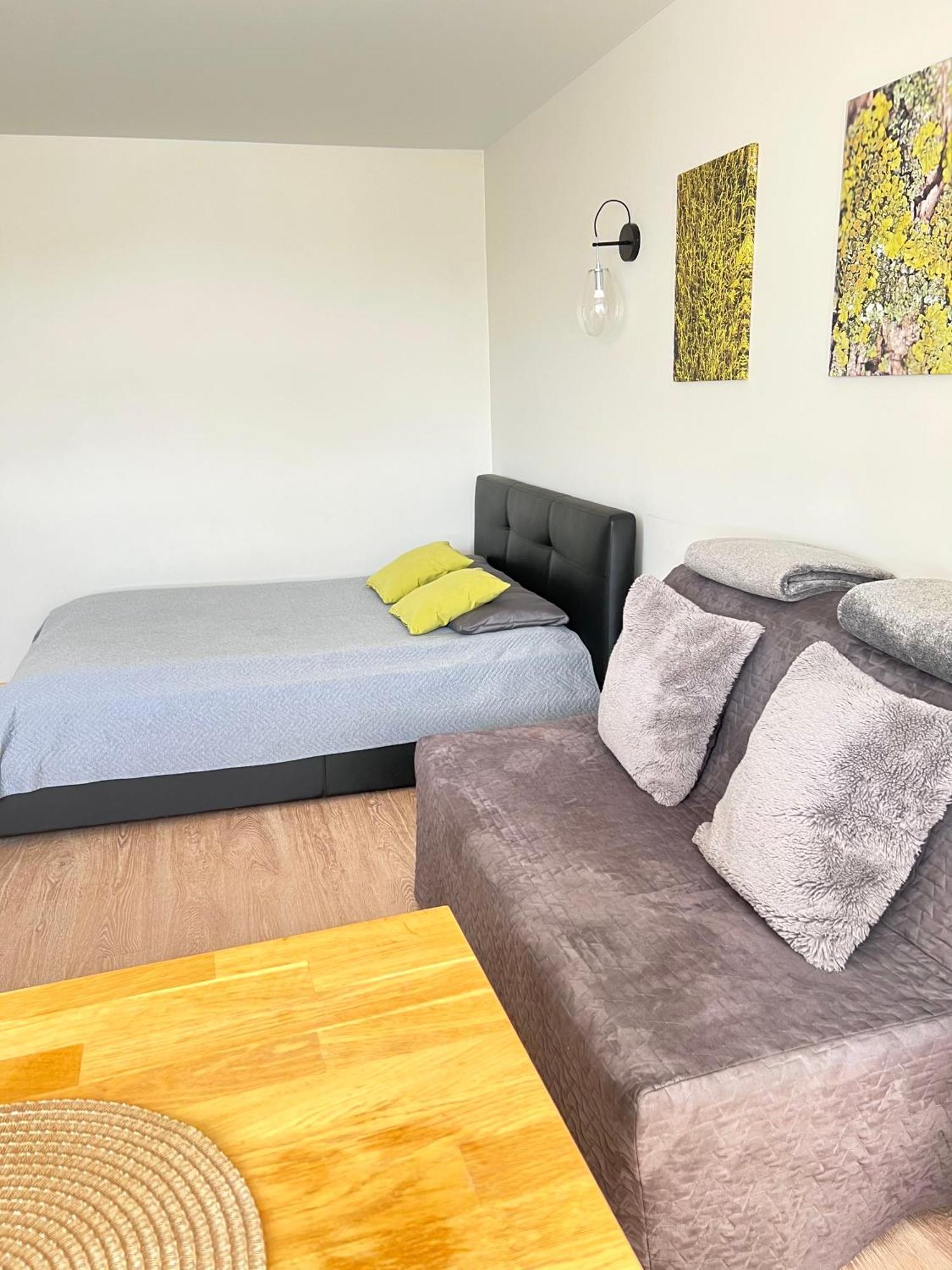 Cozy Apartment With Lake View Trakai Luaran gambar